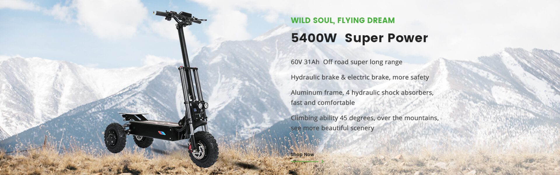 Scooter el&eacute;trica de 3 rodas 3000w 4000w 5000w