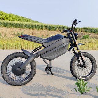 Coolfly C1 Calitate superioară F/R Fr&acirc;ne hidraulice EEC Dirt Bike 3000w Bicicletă electrică de teren pentru adulți