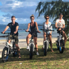 FATBIKE20 OEM ODM Fat Tire E Bike 500W 750W 36V 48V Electric Bike Foldable Aluminum Alloy Frame with LCD Power Display