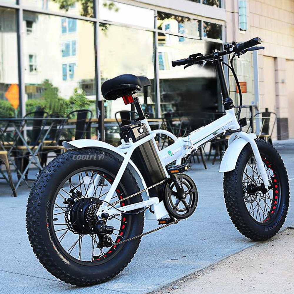 FATBIKE20 OEM ODM Fat Tire E Bike 500W 750W 36V 48V Electric Bike Foldable Aluminum Alloy Frame with LCD Power Display