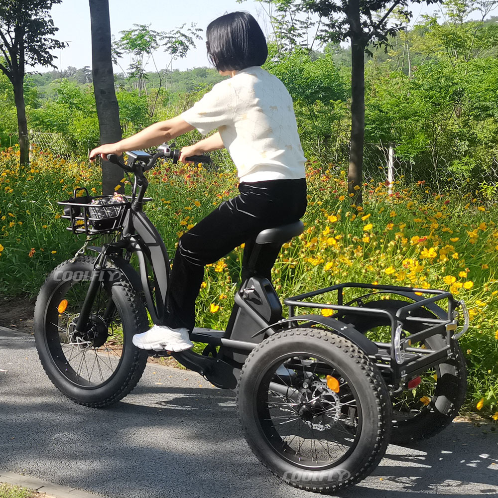 Bicicleta eléctrica de 3 ruedas 20 pulgadas 750W Triciclo