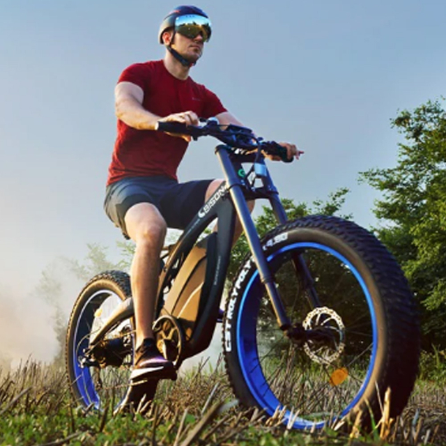 Bison26 novo modelo de pneus gordos velocidade r&aacute;pida 48v 1000w 1500w 18ah ebike motor traseiro bicicleta el&eacute;trica chopper suspens&atilde;o completa