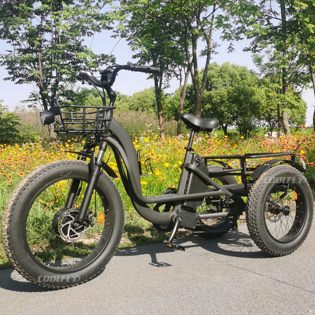 TRAVELLER24 Coolfly első 24 h&uuml;velykes h&aacute;ts&oacute; 20 h&uuml;velykes 3 ker&eacute;k zs&iacute;ros gumiabroncs 750 W 1000 W Cargo Etrike ped&aacute;l asszisztens elektromos tricikli 7 sebess&eacute;ges fokozattal